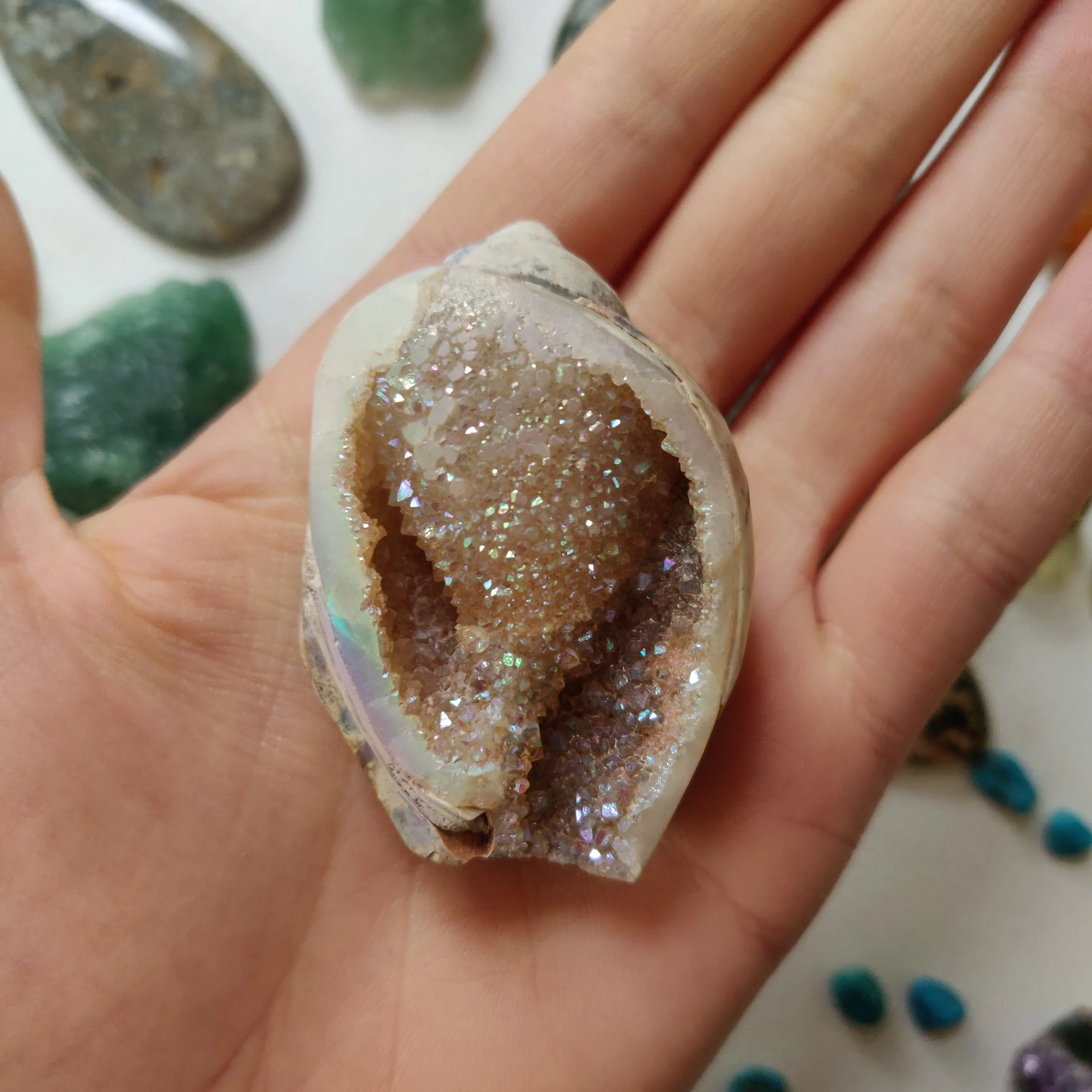 Aura Druzy Shell (#12)