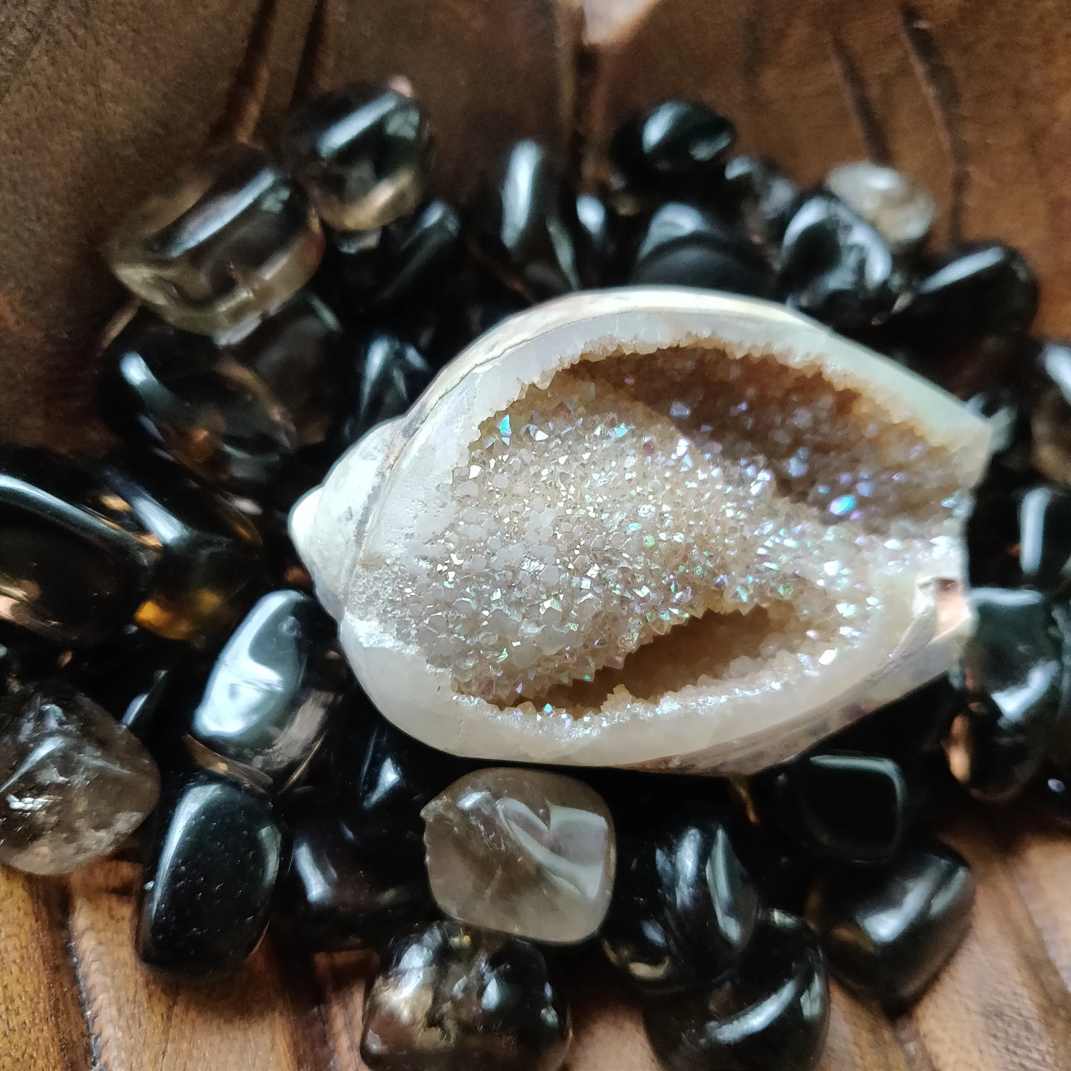 Aura Druzy Shell (#12)