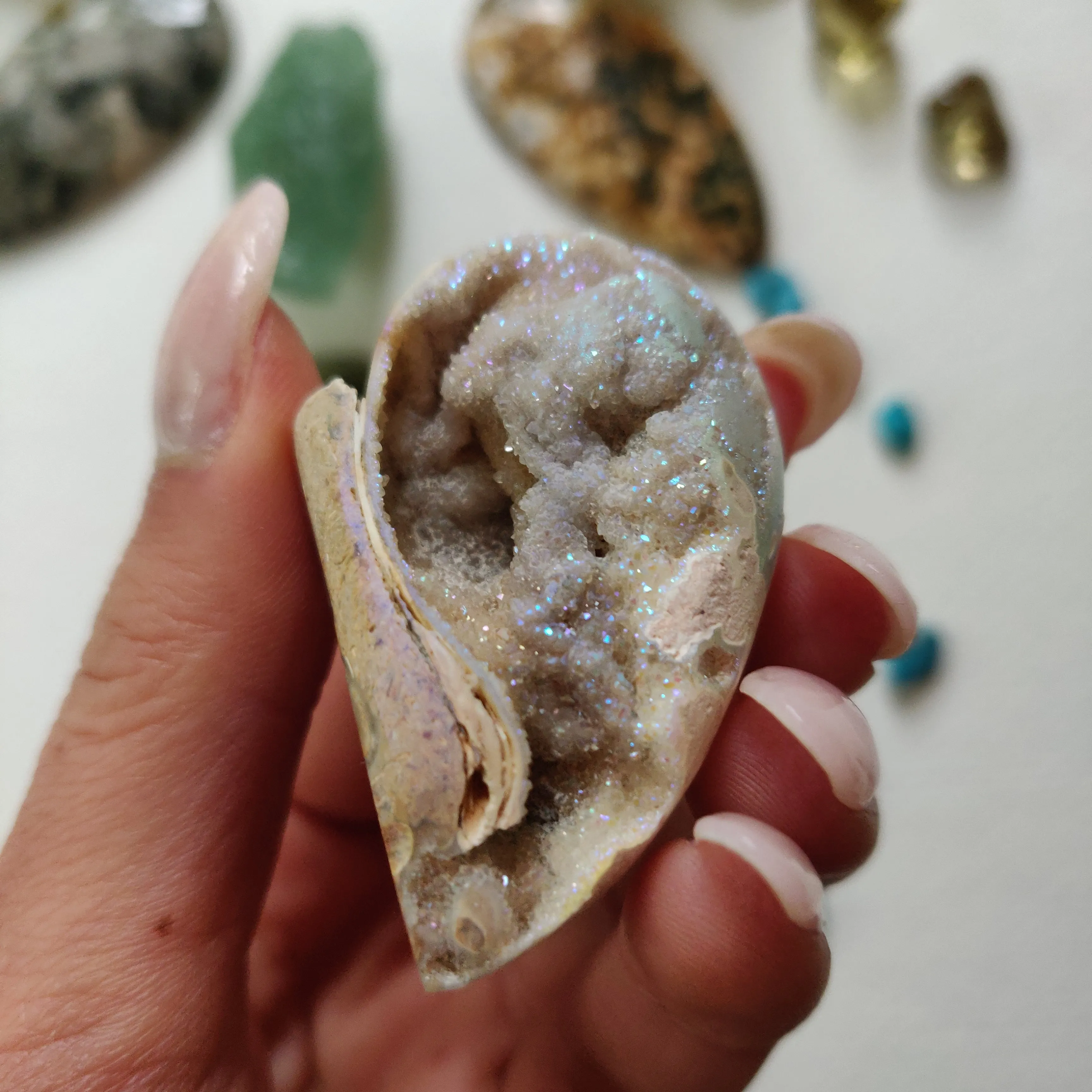 Aura Druzy Shell (#14)