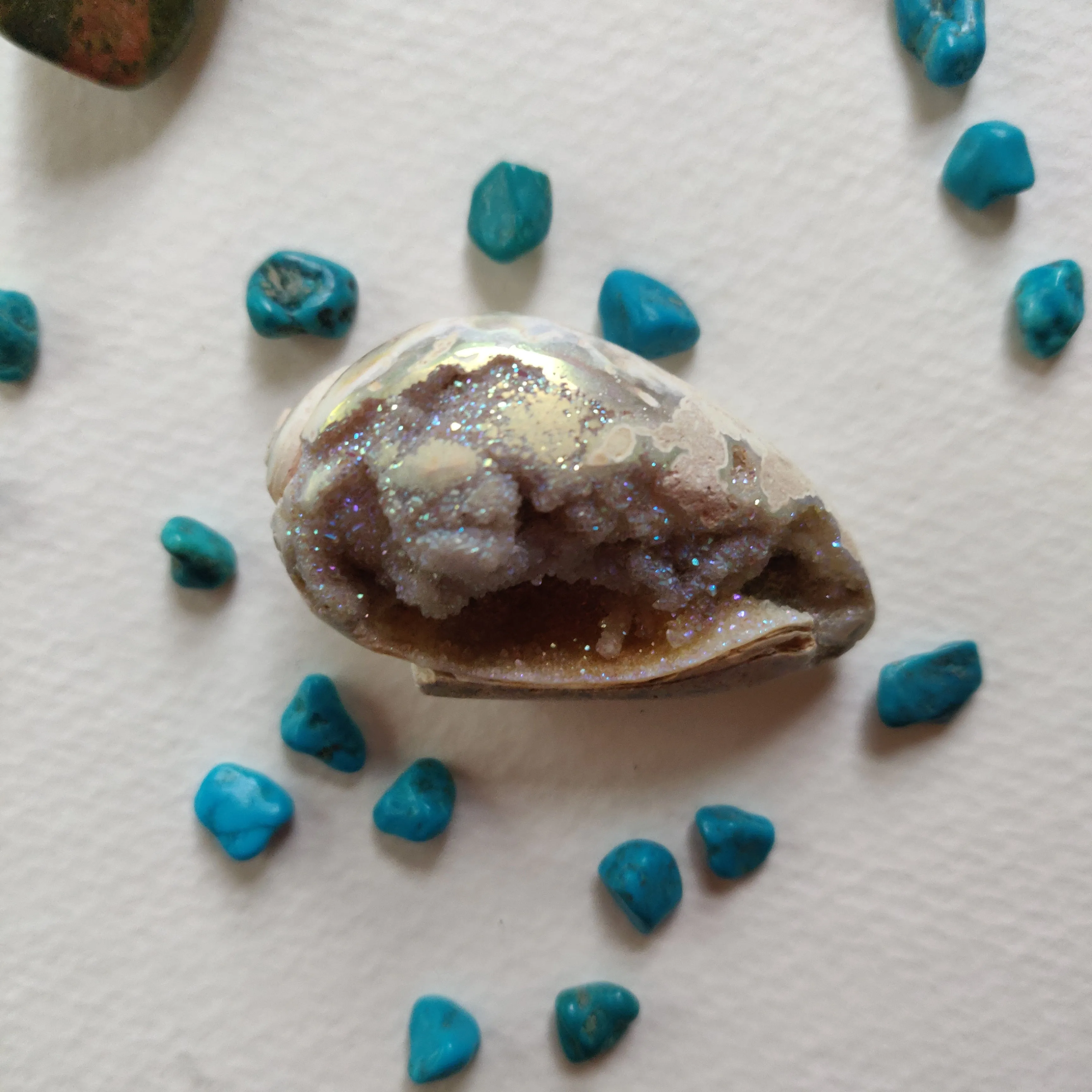 Aura Druzy Shell (#14)