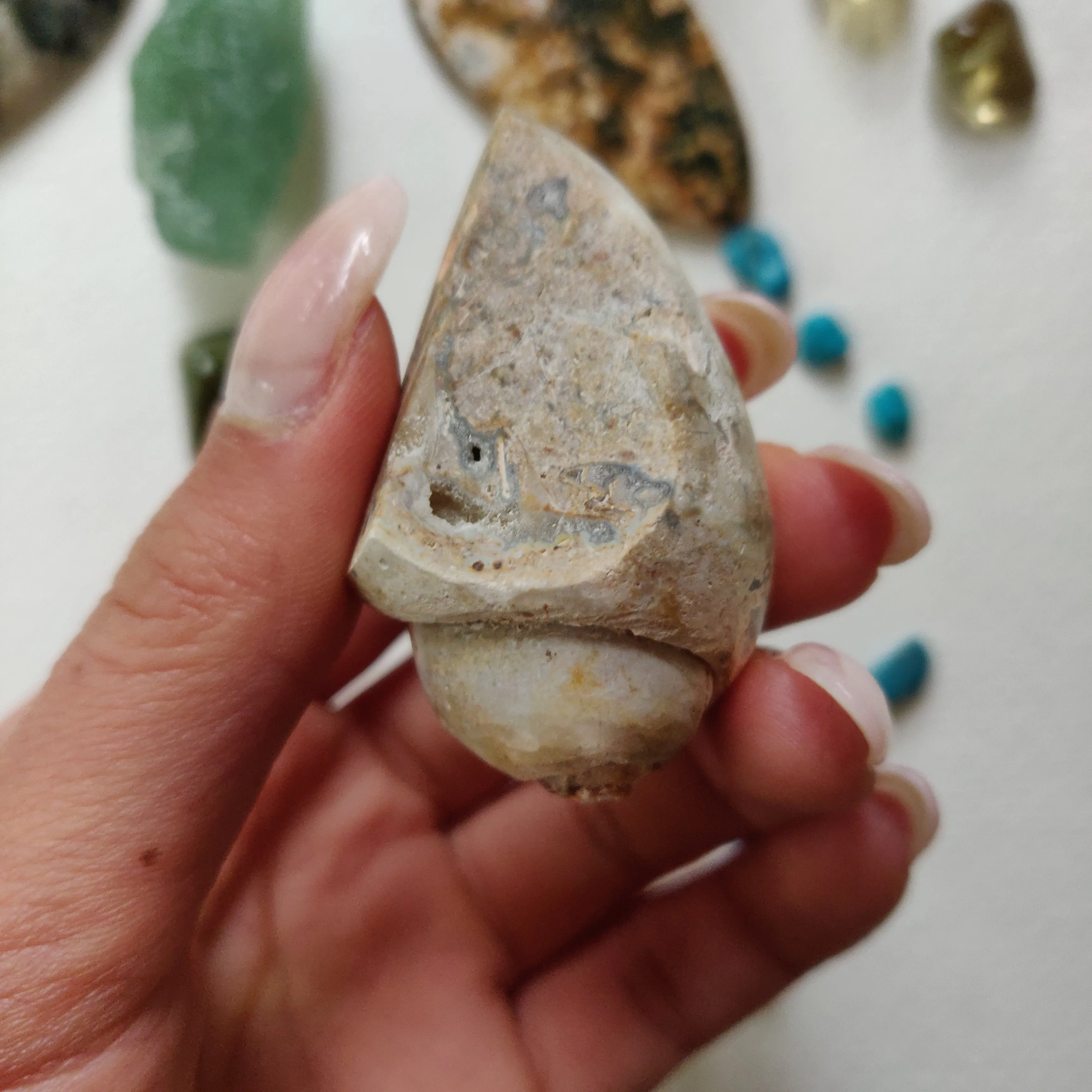 Aura Druzy Shell (#14)