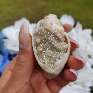 Aura Druzy Shell (#17)