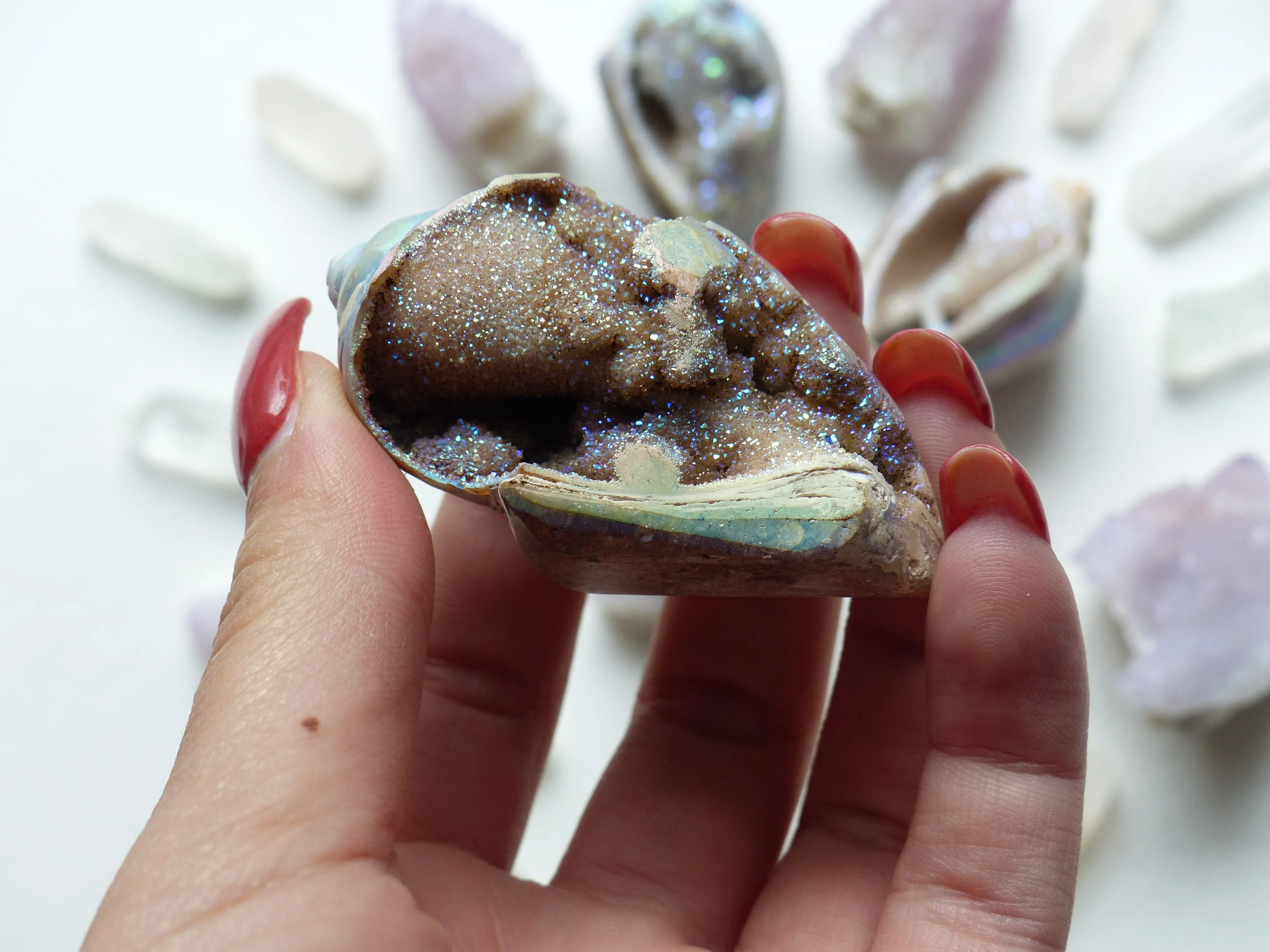 Aura Druzy Shell (#6)