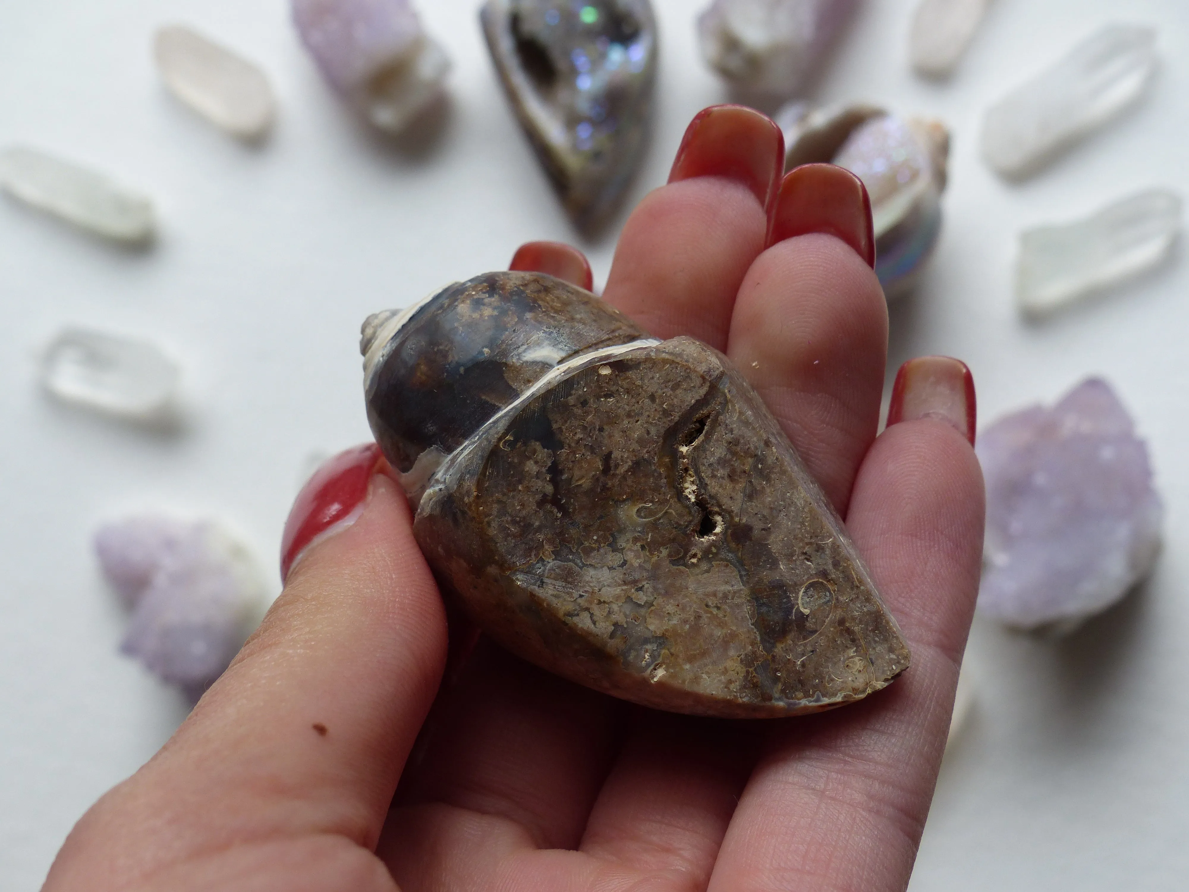 Aura Druzy Shell (#6)