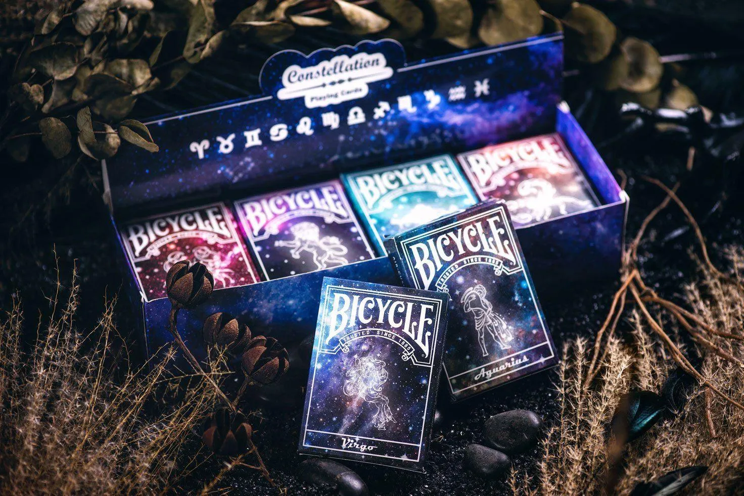 Bicycle Constellation Aquarius