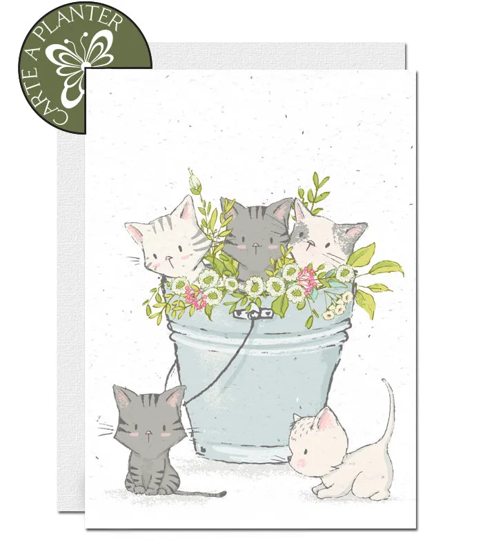 Blank Plantable Card - Kittens