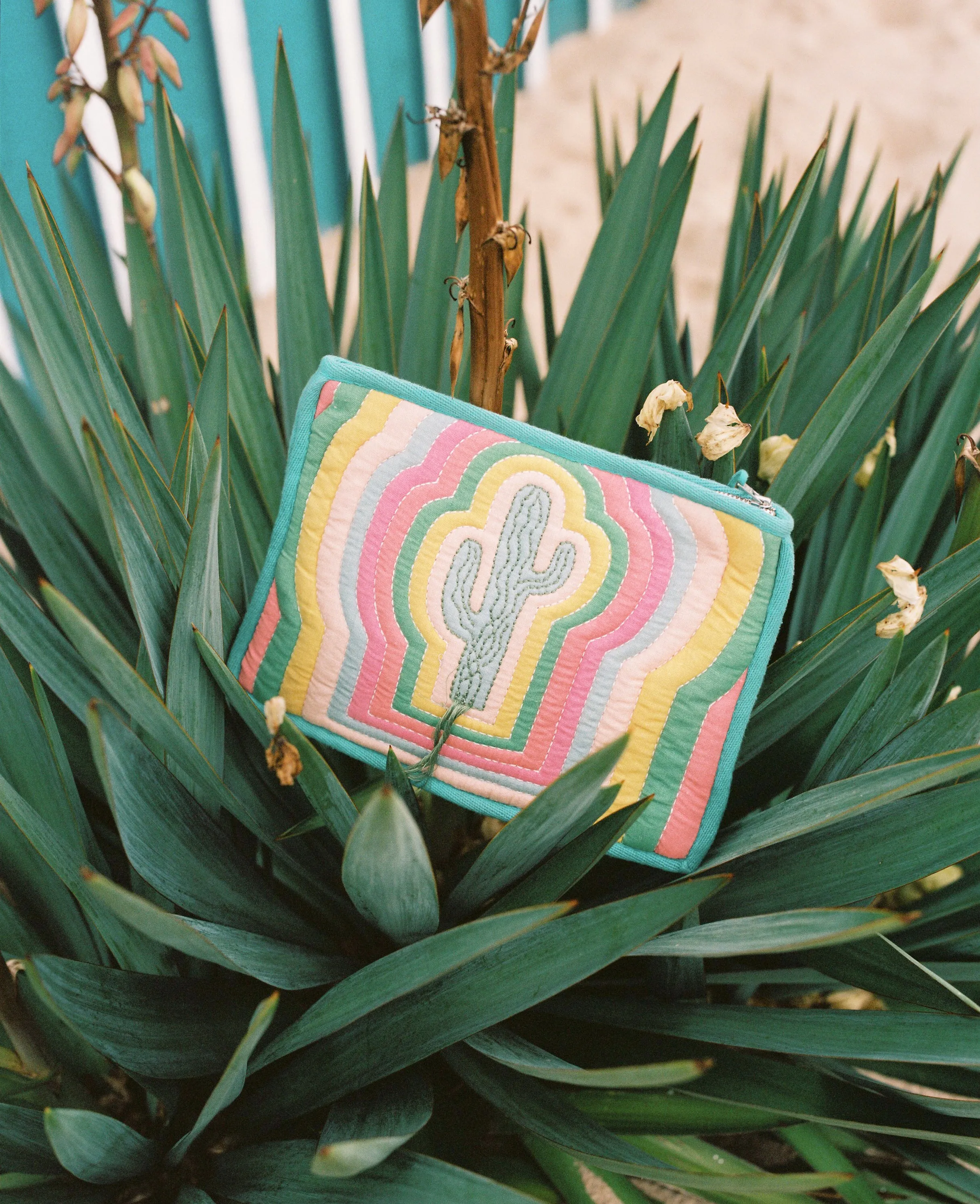 Cactus Pouch