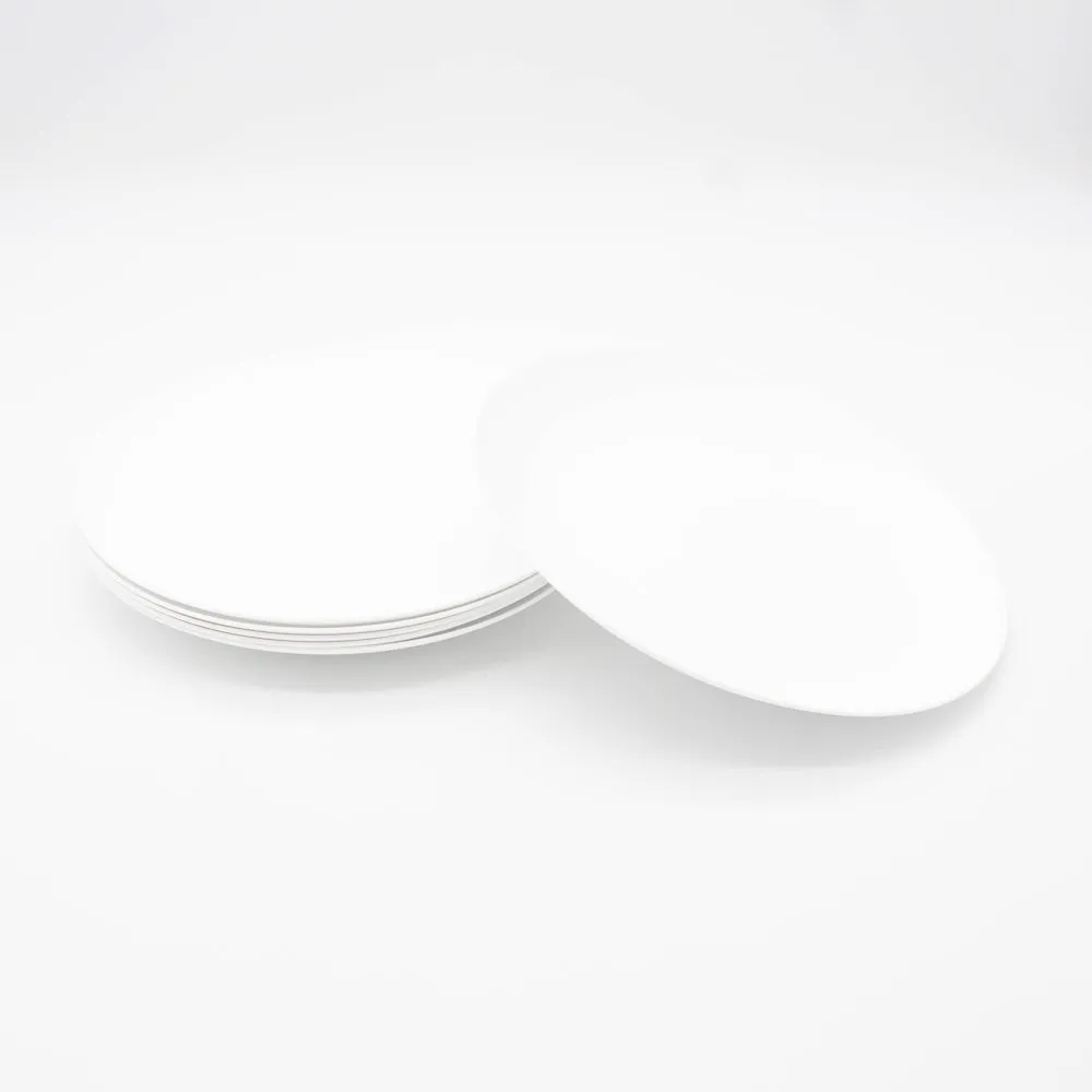 Dish or Plate Set of 6 - 10" COZA BPA Free Plastic