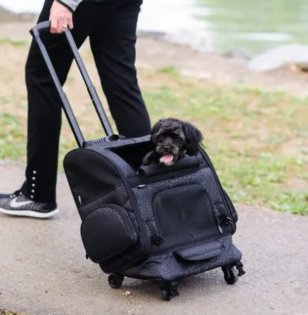 Gen7Pets All in One Roller-Carrier