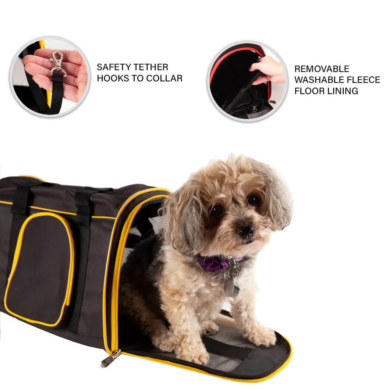 Kentucky 16" Premium Pet Carrier