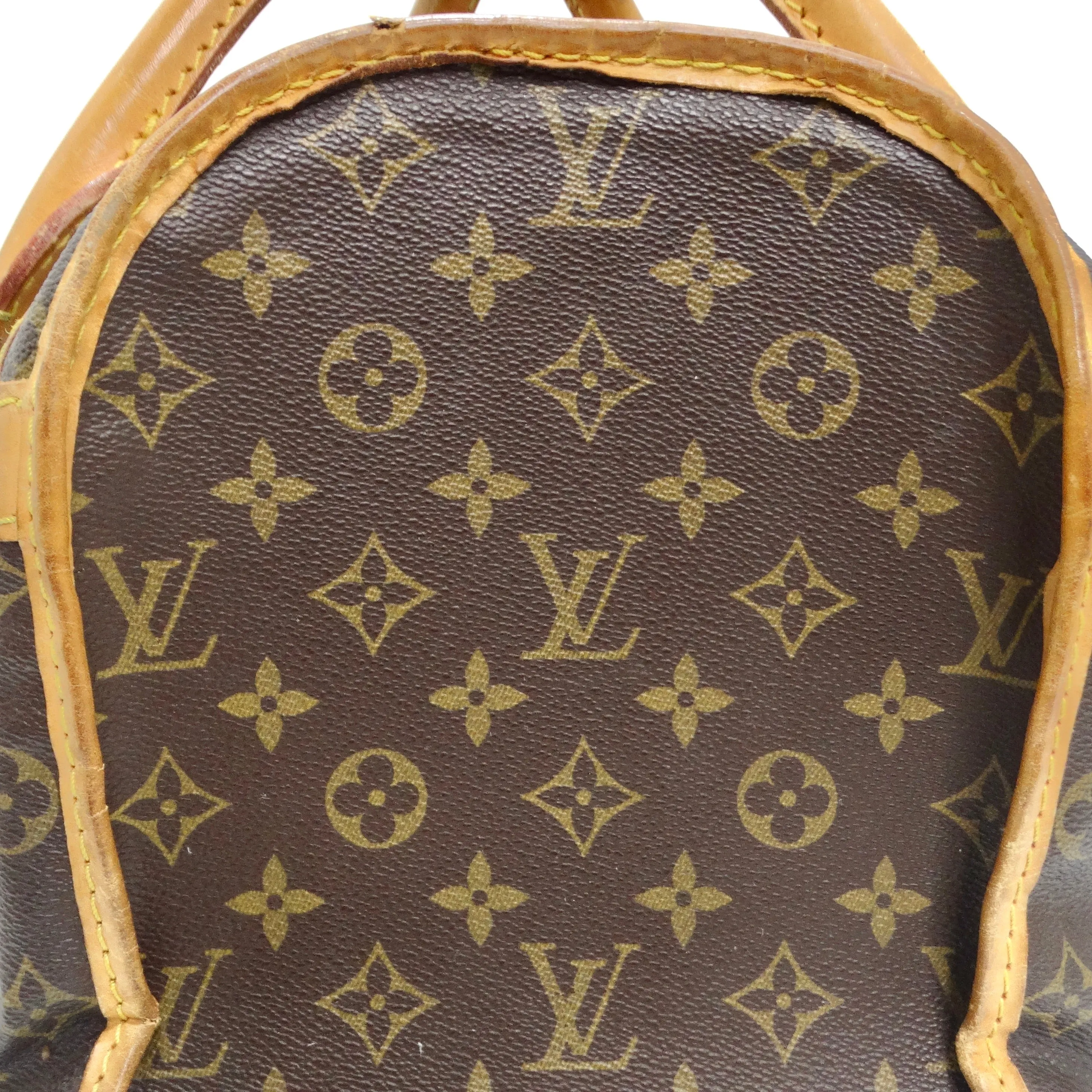 Louis Vuitton Monogram Sac Chien Pet Carrier