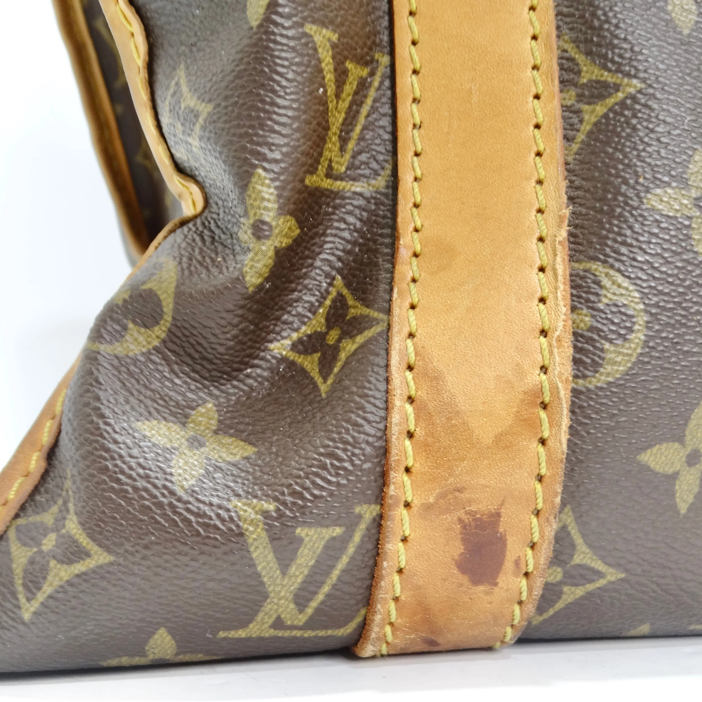 Louis Vuitton Monogram Sac Chien Pet Carrier