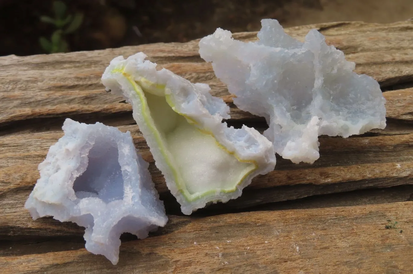 Natural Etched Blue Chalcedony Specimens x 35 From Malawi