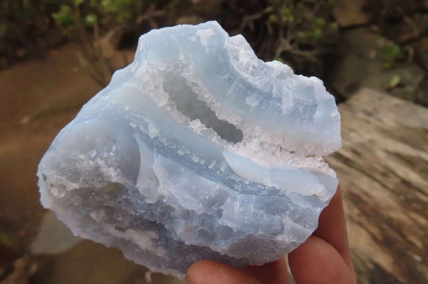 Natural Etched Blue Chalcedony Specimens x 6 From Malawi