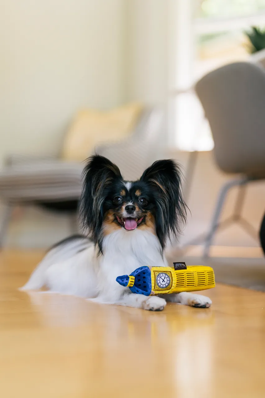 P.L.A.Y. Totally Touristy Squeaky Plush Dog toys, Big Ben