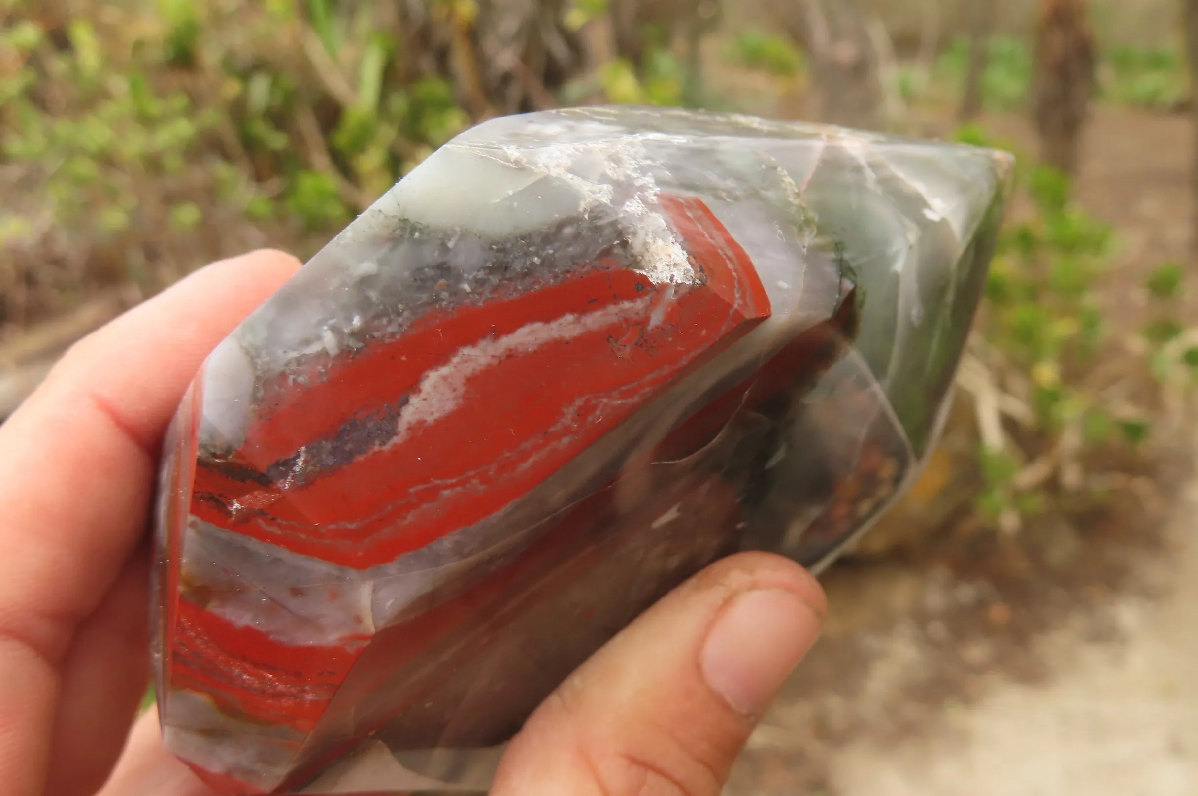 Polished Bloodstone (Seftonite) Point-Prism x 2 From Swaziland