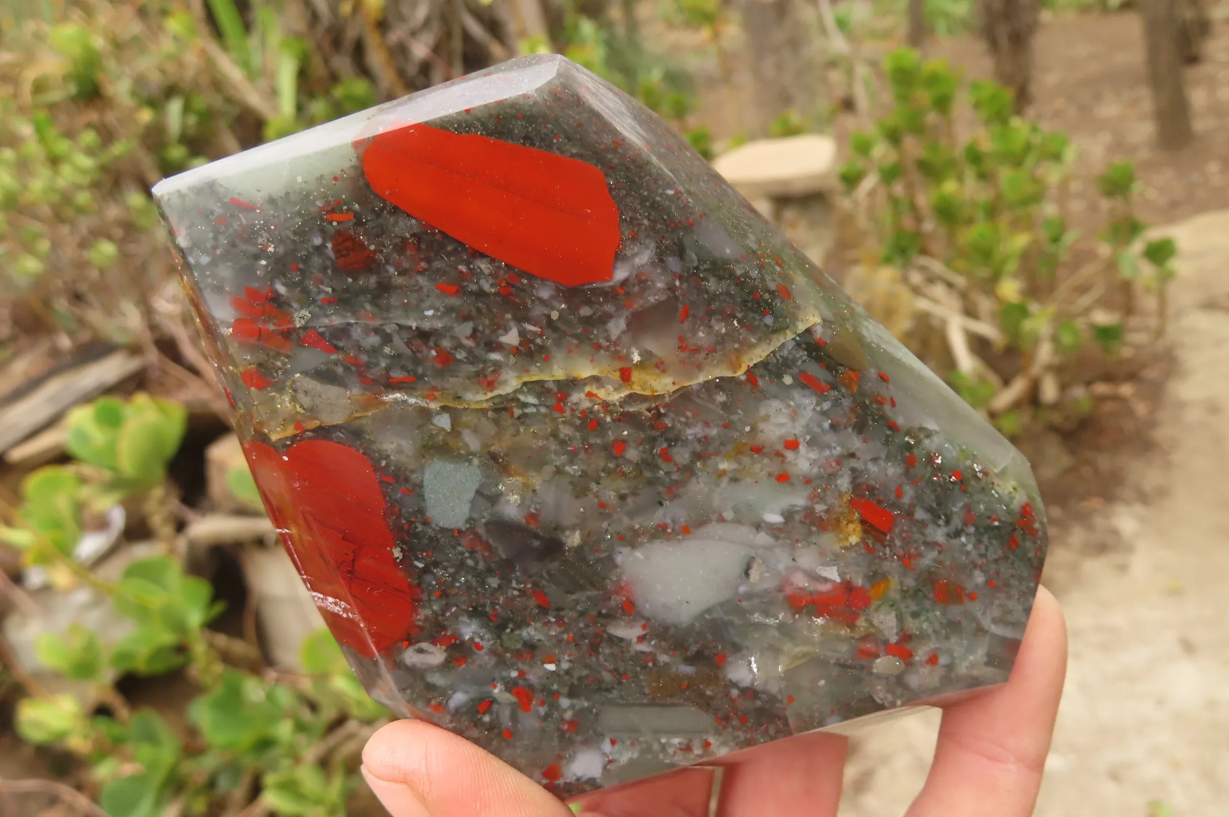 Polished Bloodstone (Seftonite) Point-Prism x 2 From Swaziland