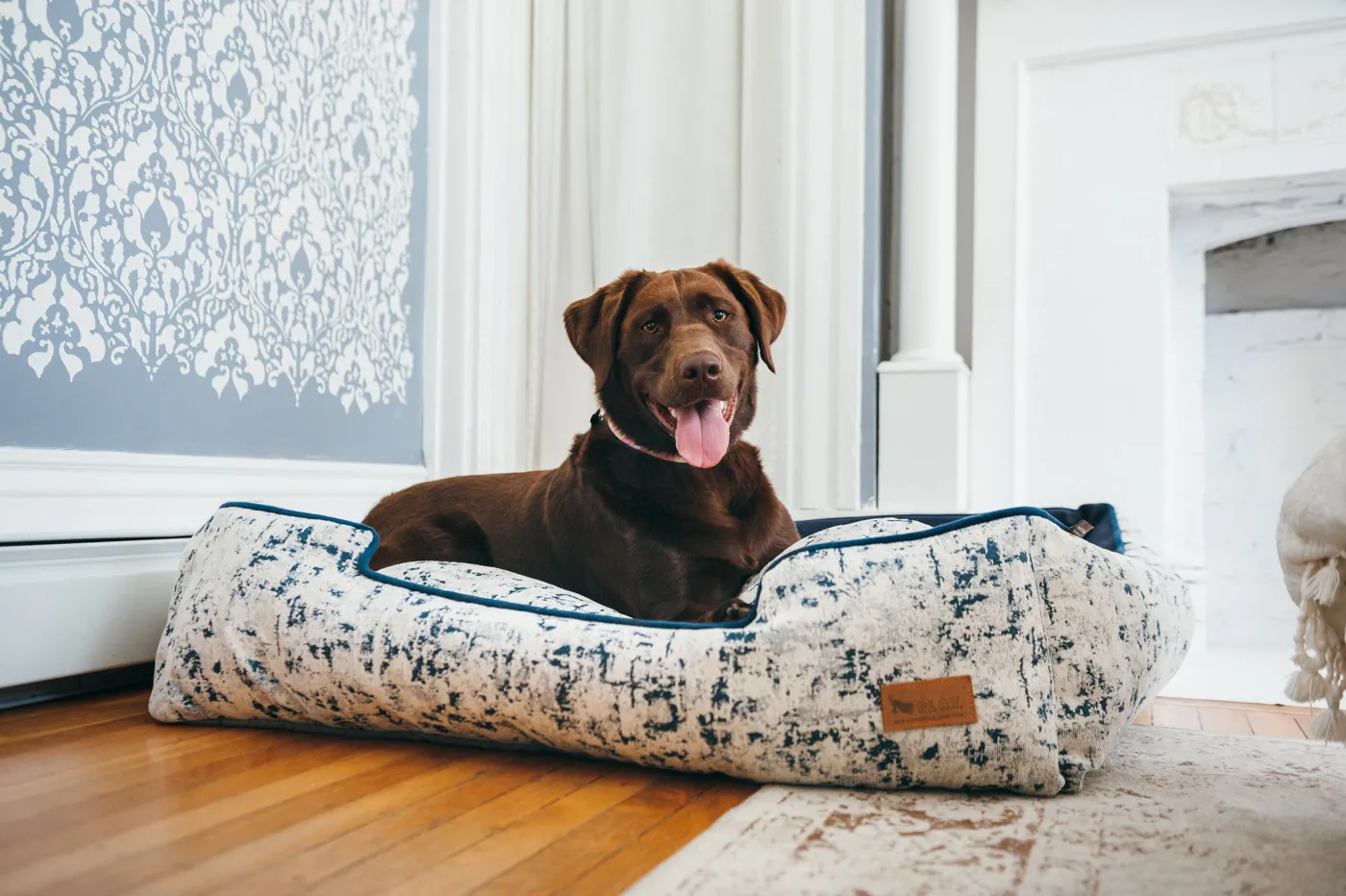 [Pre Order] Lounge Dog Bed: Celestial Midnight Blue