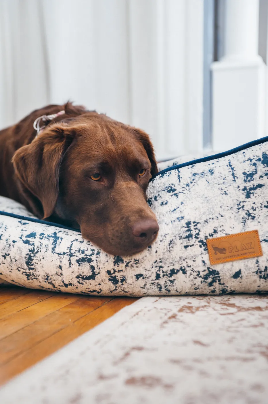 [Pre Order] Lounge Dog Bed: Celestial Midnight Blue