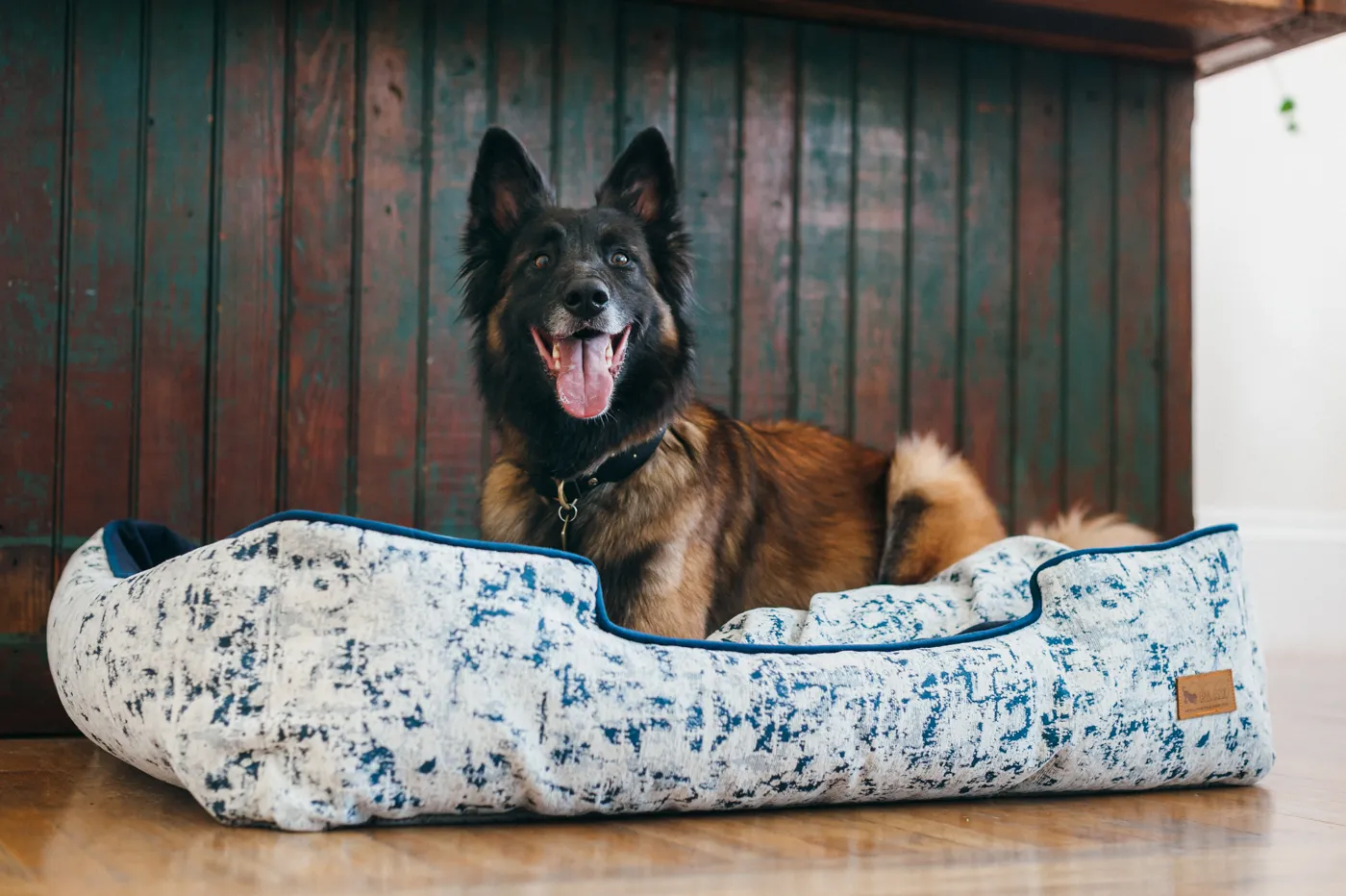 [Pre Order] Lounge Dog Bed: Celestial Midnight Blue