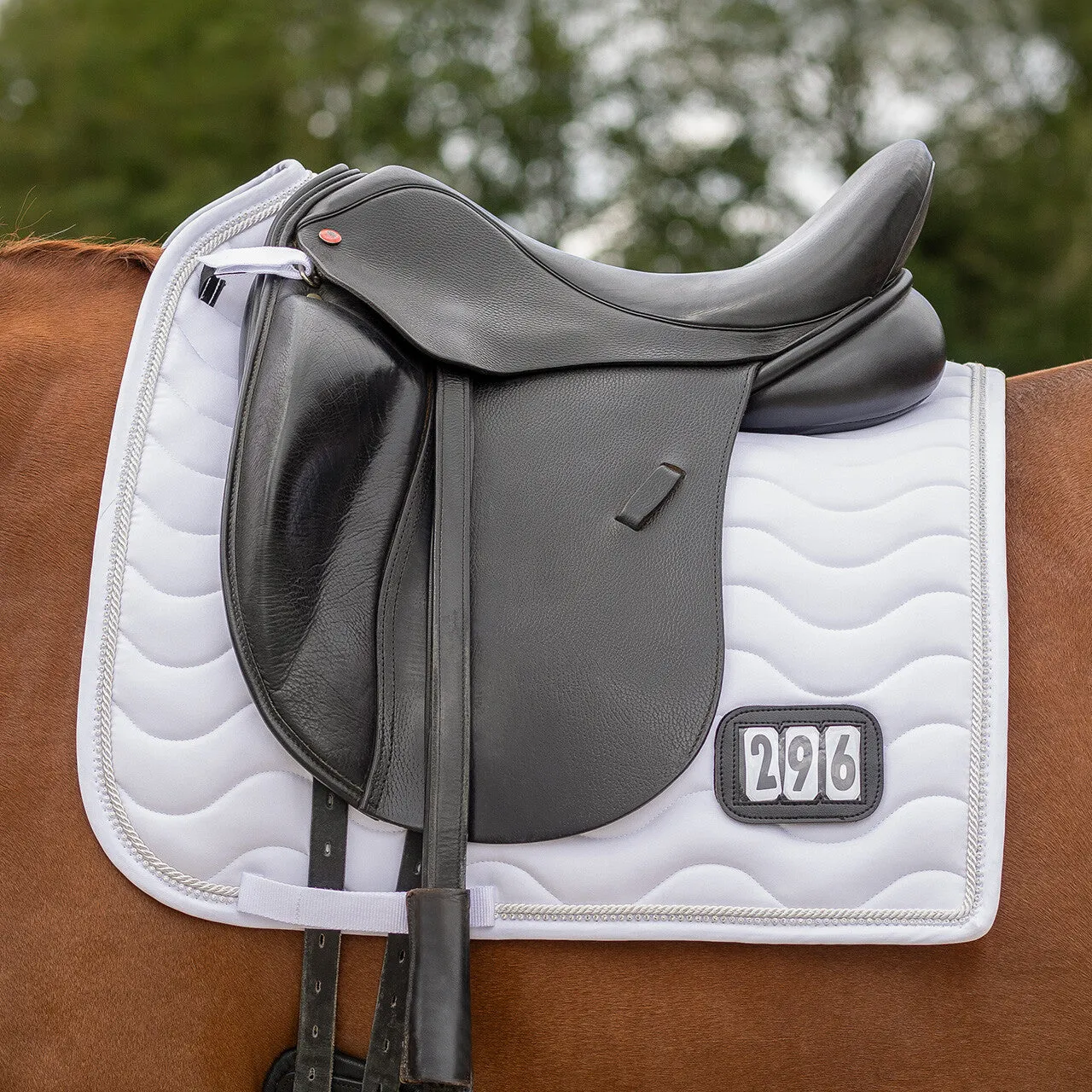 QHP Dressage Pad Sparkle Number