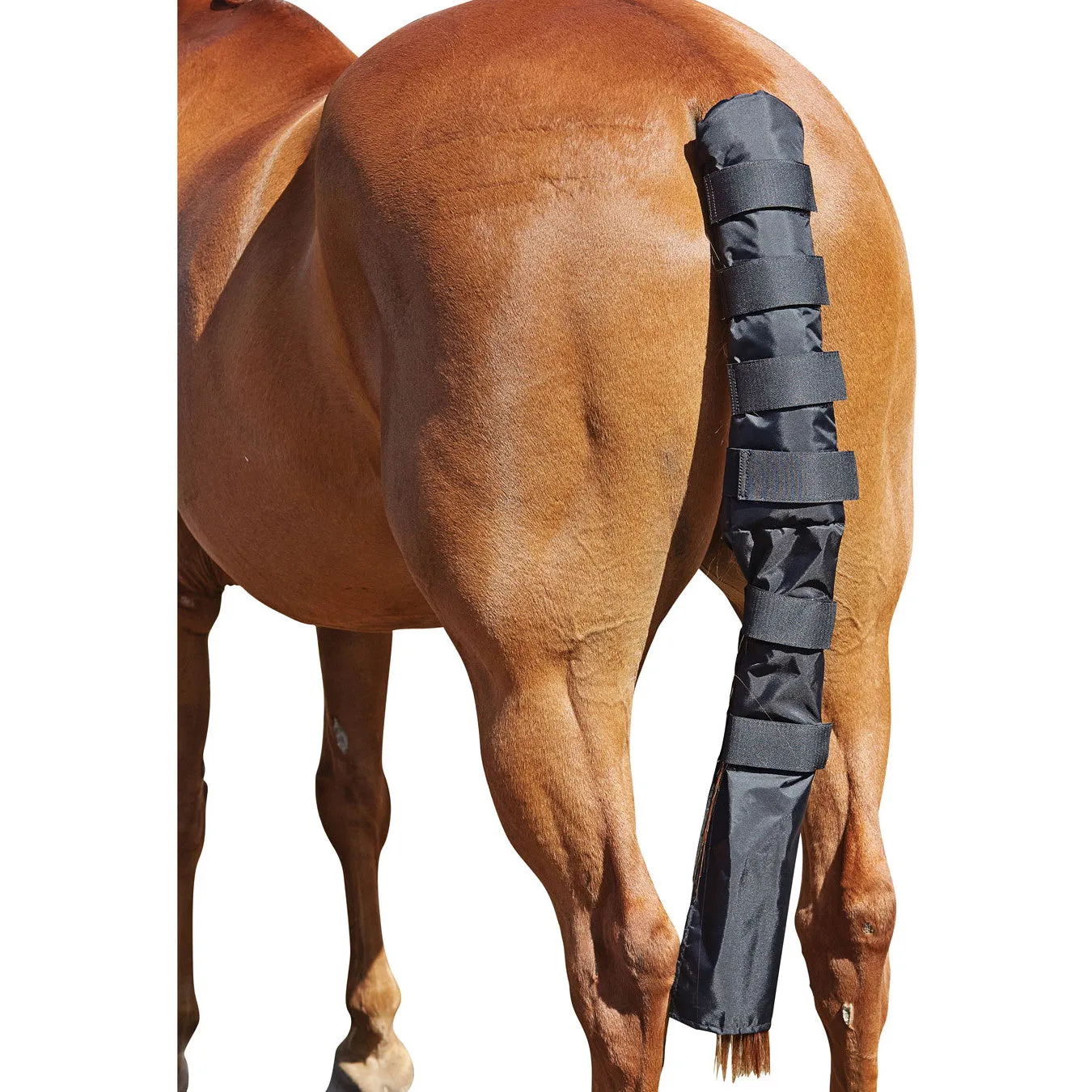 Roma Padded With Bag Tail Guard