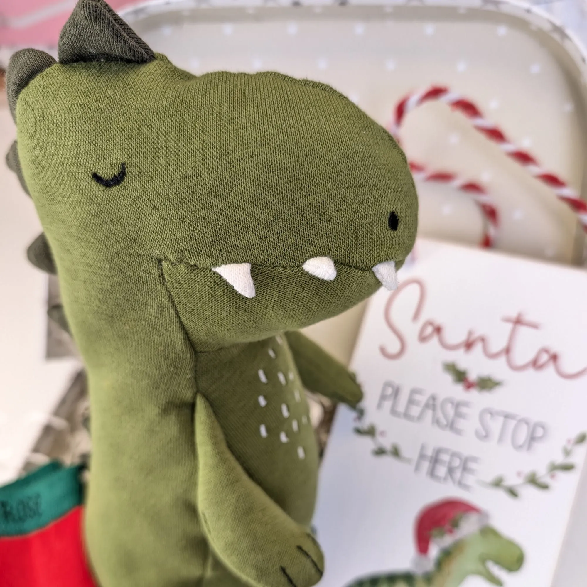 Santa Stop Here Mr Dino Baby's Christmas Gifts Trunk