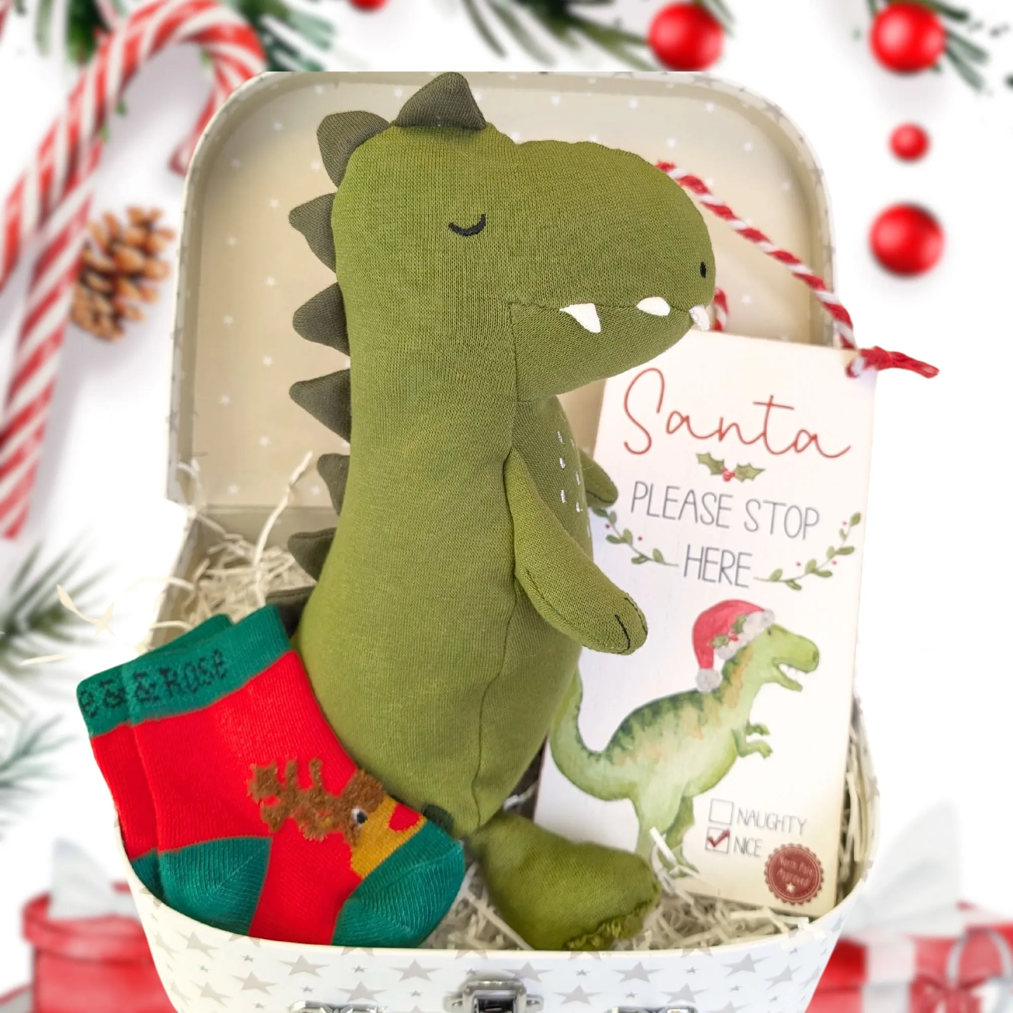 Santa Stop Here Mr Dino Baby's Christmas Gifts Trunk