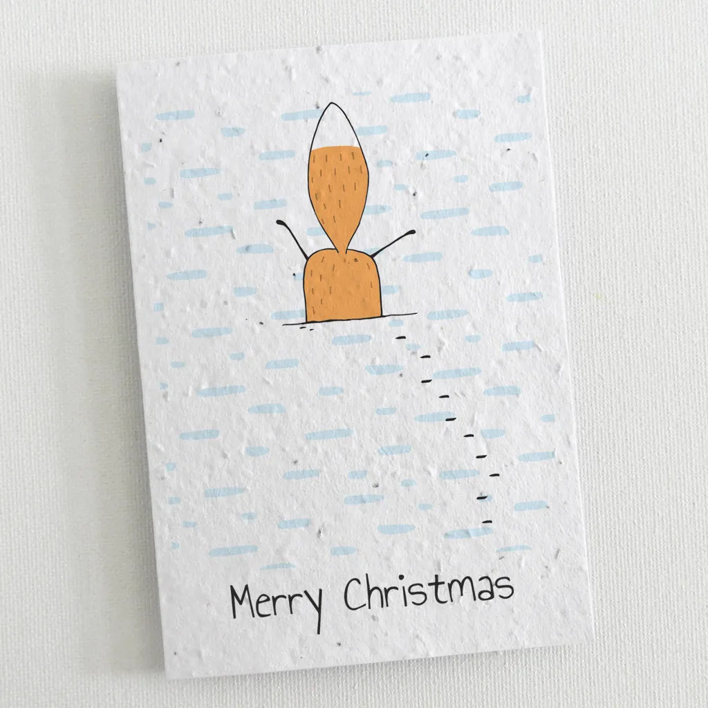 Set of 6 Plantable Christmas Cards