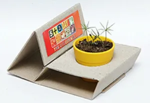 Sprout Box