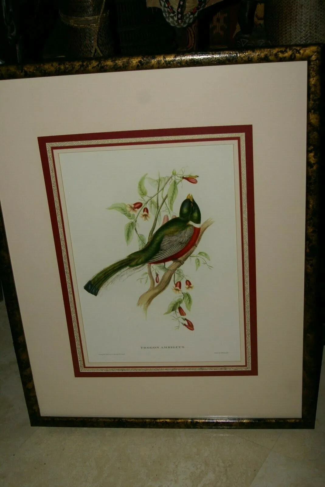 UNIQUE 29,5"X 23,5” 1955 GOULD TROGON AMBIGUUS BIRD FOLIO LITHOGRAPH FRAMED IN SIGNED ARTIST HAND PAINTED FRAME WITH 4 MATS TO ENHANCE THE ART WITHIN GORGEOUS DFPN94. DESIGNER WALL ART DÉCOR