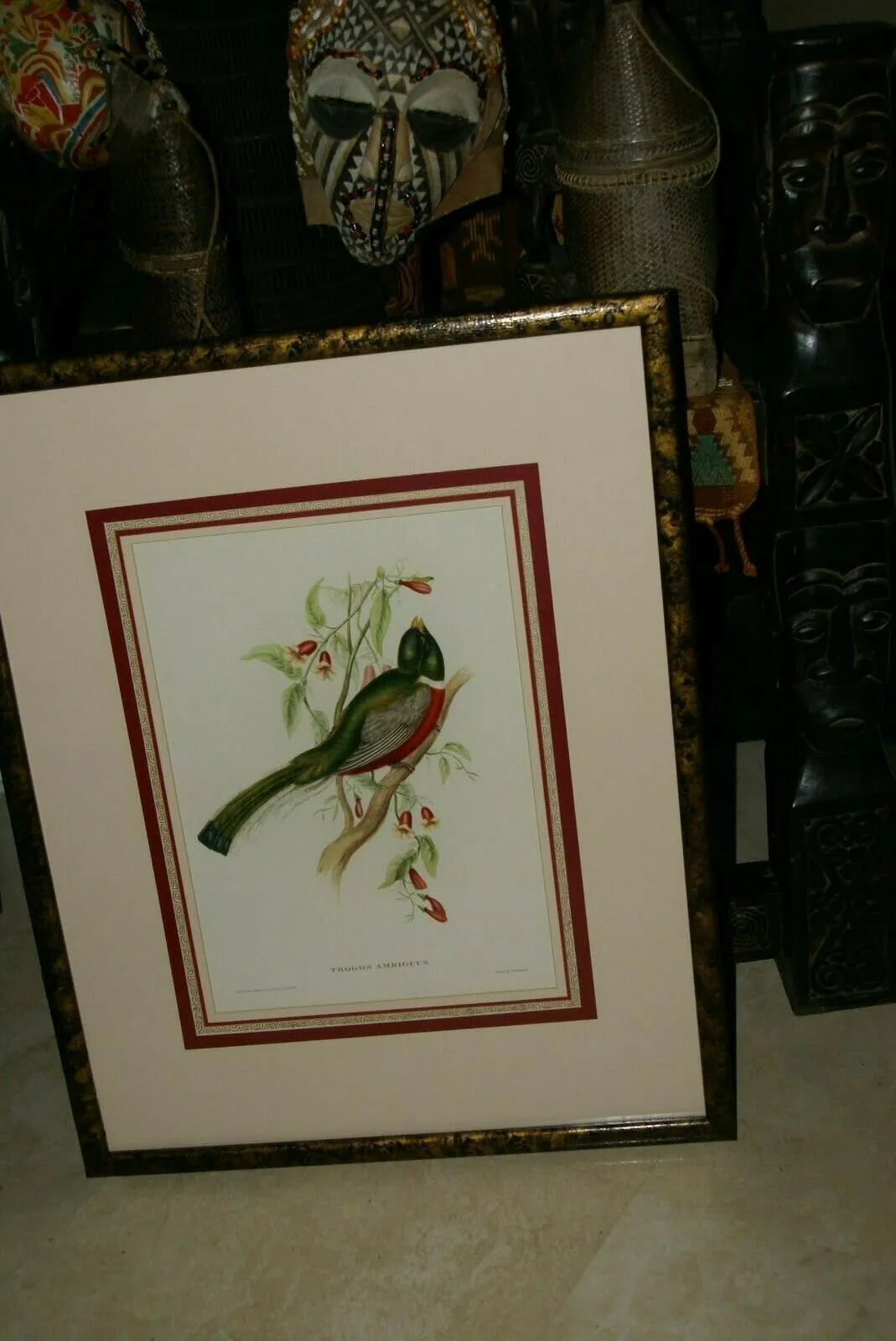 UNIQUE 29,5"X 23,5” 1955 GOULD TROGON AMBIGUUS BIRD FOLIO LITHOGRAPH FRAMED IN SIGNED ARTIST HAND PAINTED FRAME WITH 4 MATS TO ENHANCE THE ART WITHIN GORGEOUS DFPN94. DESIGNER WALL ART DÉCOR