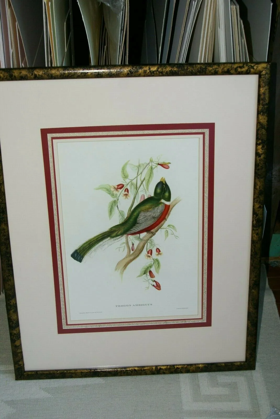 UNIQUE 29,5"X 23,5” 1955 GOULD TROGON AMBIGUUS BIRD FOLIO LITHOGRAPH FRAMED IN SIGNED ARTIST HAND PAINTED FRAME WITH 4 MATS TO ENHANCE THE ART WITHIN GORGEOUS DFPN94. DESIGNER WALL ART DÉCOR