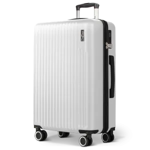 Vacay 28" Suitcase in Silver