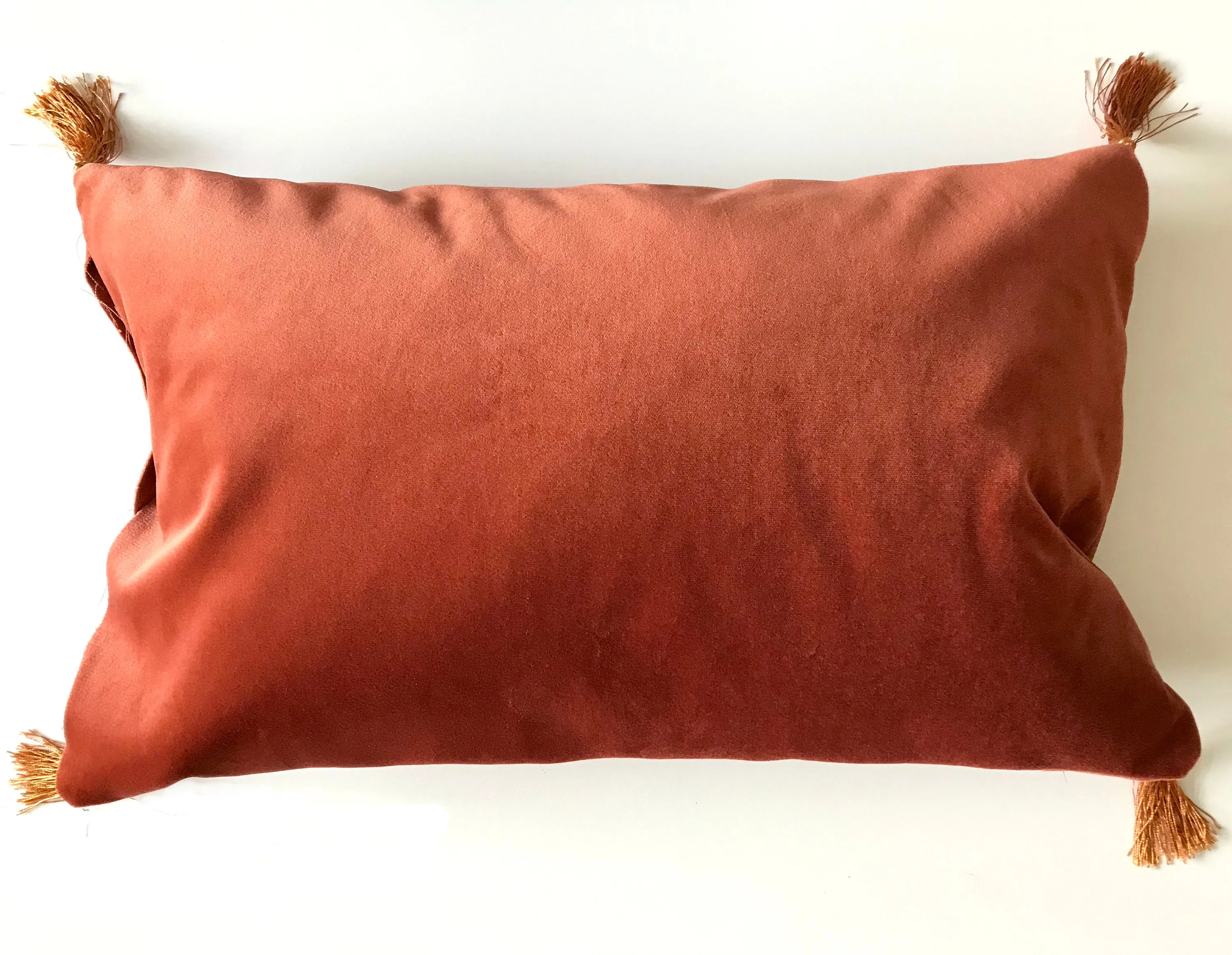 Velvet Cushion 'Flow' in Rust colour with gold tassels, rectangular shape and feather filling