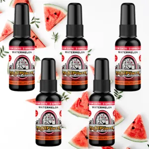 Watermelon Spray Air Freshener Bundle (5 Pack)